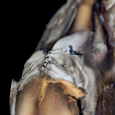 MTM.2010.0066.0258 MTM.2010.0066.0258